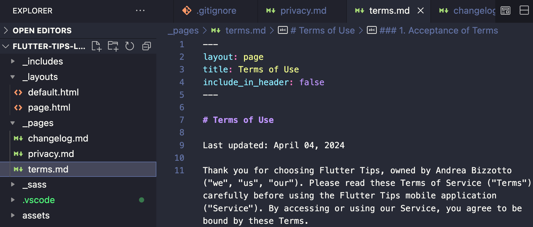 The terms.md file is stored inside the _pages folder